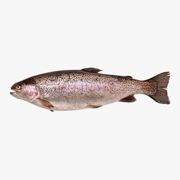 Форел зинда